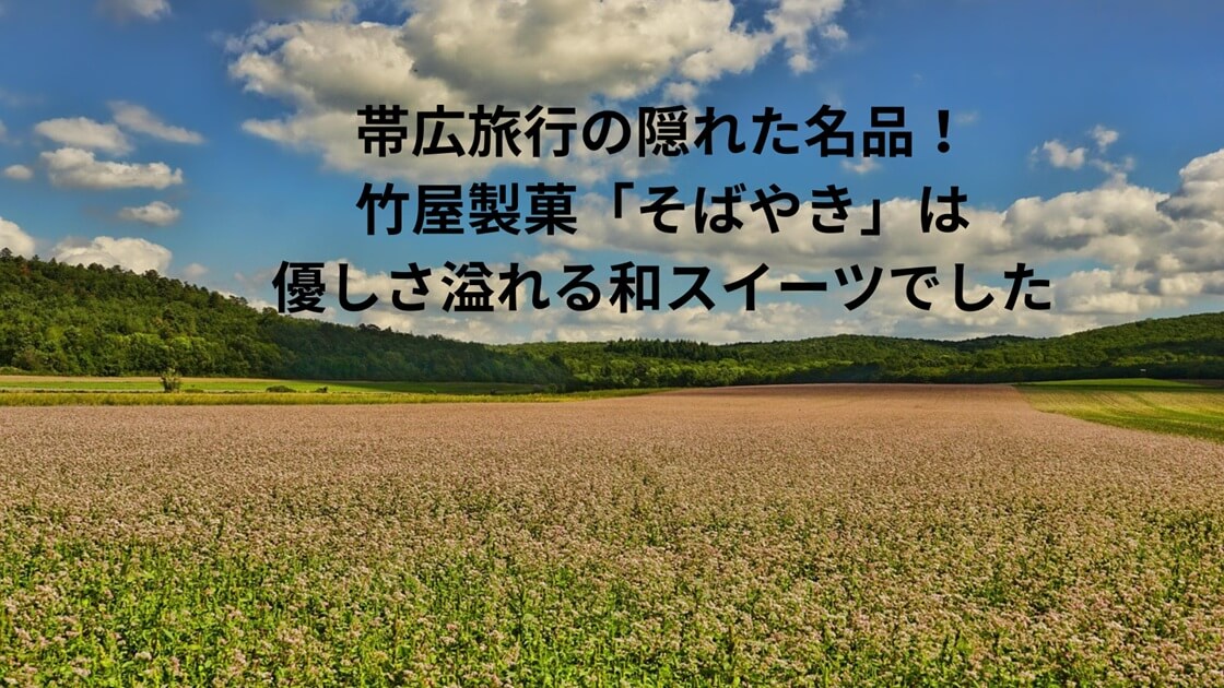 北海道のどこまでも広がるそば畑と澄み切った青空。そばやきに使われるそば粉の故郷を感じさせる雄大な風景。「帯広旅行の隠れた名品！竹屋製菓「そばやき」は優しさ溢れる和スイーツでした」と表記。
