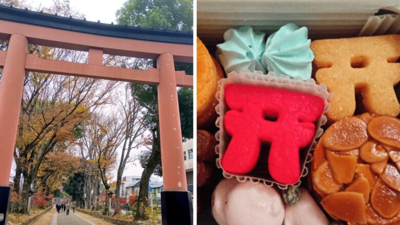 二分割されたブログのアイキャッチ画像。左側は、秋の景色が広がる武蔵一宮氷川神社の赤い鳥居と参道。右側は、『氷川の杜 YAKUMO』の限定クッキー缶の中身のクローズアップで、鮮やかな赤い鳥居型クッキー、水色のメレンゲ菓子、フロランタンなど、色とりどりのコラボクッキーが詰まっている様子。神社とクッキーのコラボレーションが象徴されている。