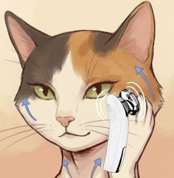 Salawit美顔器D868 EMSレビュー 頬リフトアップ 女性使用画像